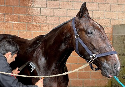 2023 05 26 IMG 2317 Midnight