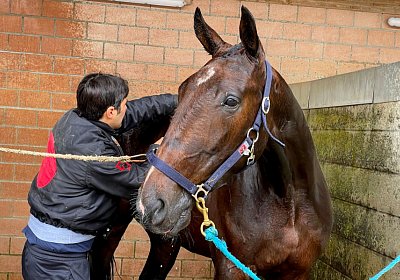 2023 05 26 IMG 2318 Midnight