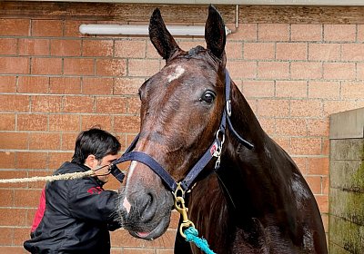 2023 05 26 IMG 2319 Midnight