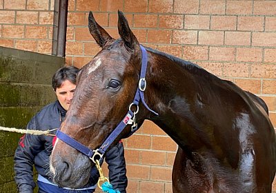 2023 05 26 IMG 2320 Midnight