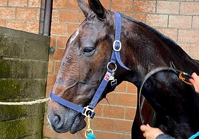 2023 05 26 IMG 2325 Midnight