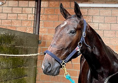 2023 05 26 IMG 2326 Midnight