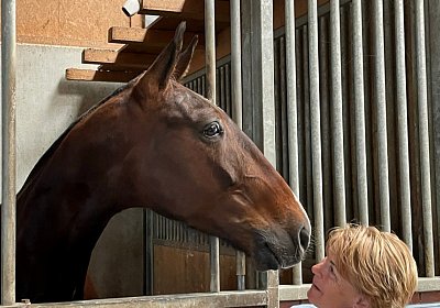 2023 05 26 IMG 2425 Midnight