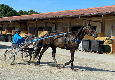 2023 06 09 Av A IMG 3159 Jack