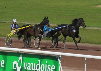 2023 06 09 Av B S7410010 Jack Midnight