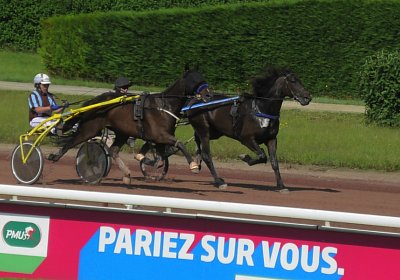 2023 06 09 Av B S7410011 Jack Midnight