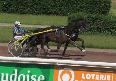 2023 06 09 Av B S7410012 Jack Midnight