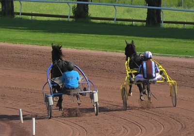 2023 06 09 Av B S7410014 Jack Midnight