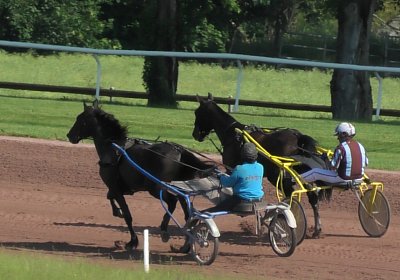 2023 06 09 Av B S7410015 Jack Midnight