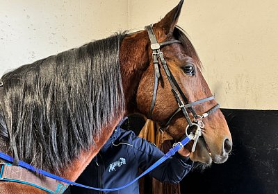 2024 01 06 Espada Training IMG 2065