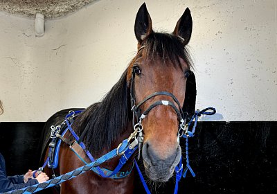 2024 01 06 Espada Training IMG 2069