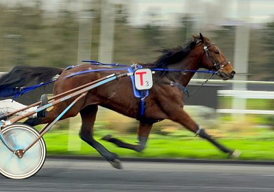 2024 01 06 Espada Training IMG 2152