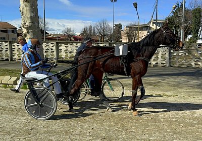 2024 06 03 Turin IMG 5598 Fantastic