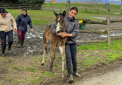 2024 06 03 Arcadia IMG 5461 Luchador