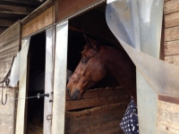 Augenschein in Holziken, 5.1.2013