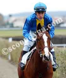 La Parit&eacute; in Enghien