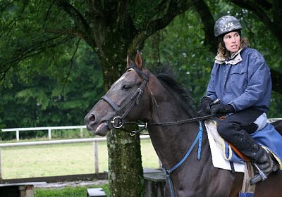 IMG 7245 600x400.jpg