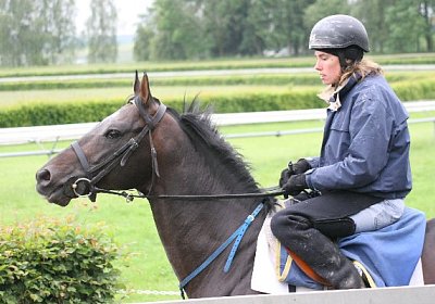 IMG 7249 600x400.jpg