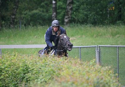 IMG 7256 600x400.jpg