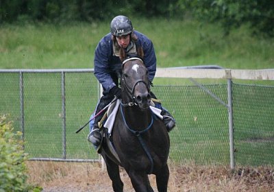 IMG 7259 600x400.jpg