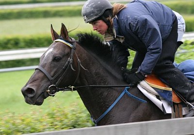 IMG 7265 600x400.jpg