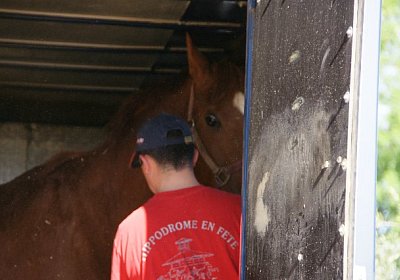 sc loxley DSC05241 640x426.jpg