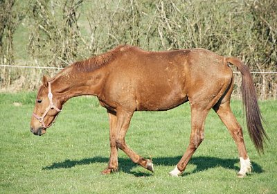 sc loxley DSC05248 640x426.jpg