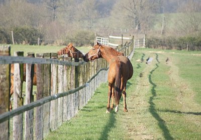 sc loxley DSC05262 640x426.jpg