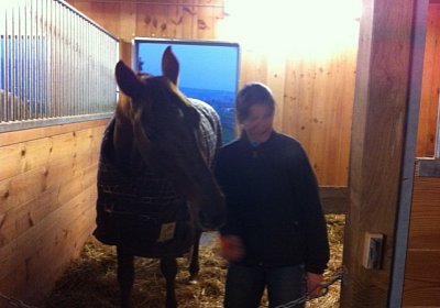 Palmin IMG 0944 [800x600]