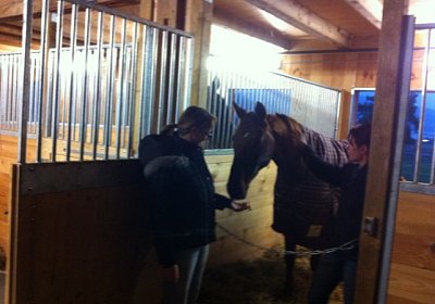 Palmin IMG 0947 [800x600]