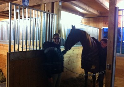 Palmin IMG 0949 [800x600]