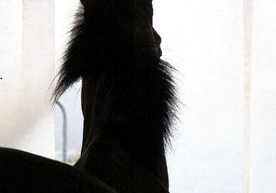 IMG 5270 600x400.jpg