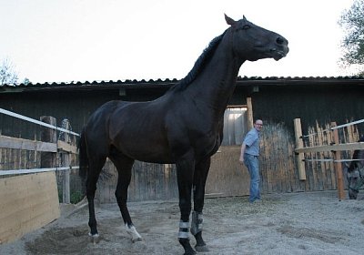 IMG 8355 640x426.jpg