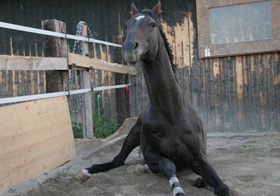 IMG 8394 640x426.jpg