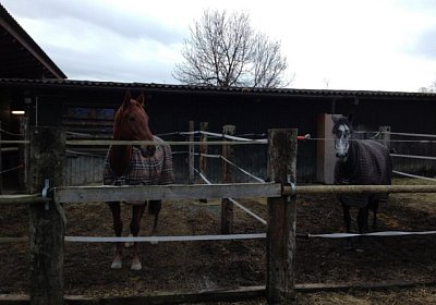 Gitan und Remedial