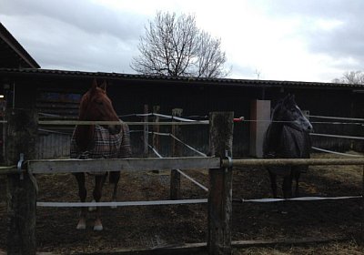 Gitan und Remedial