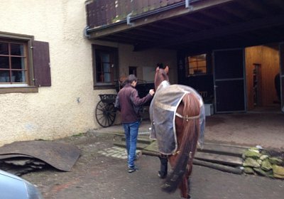 Rushi auf dem Weg in sein neues Zuhause