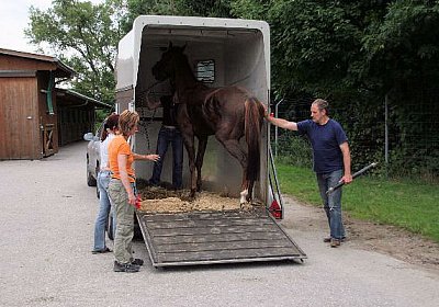 cm aiakos IMG 4429 600x400.jpg