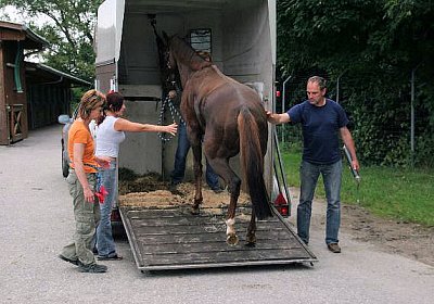 cm aiakos IMG 4430 600x400.jpg