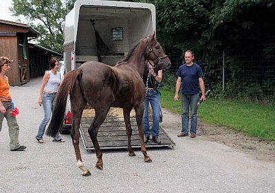 cm aiakos IMG 4432 600x400.jpg