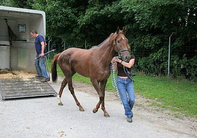 cm aiakos IMG 4434 600x400.jpg