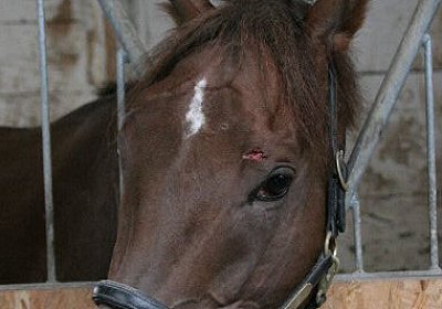 cm aiakos IMG 4451 600x400.jpg