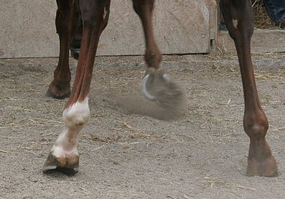 cm aiakos IMG 4486 600x400.jpg