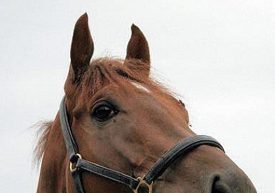 cm aiakos IMG 4523 600x400.jpg