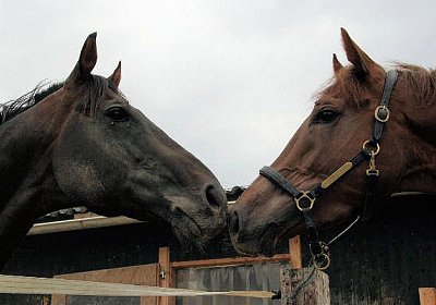 cm aiakos IMG 4529 600x400.jpg