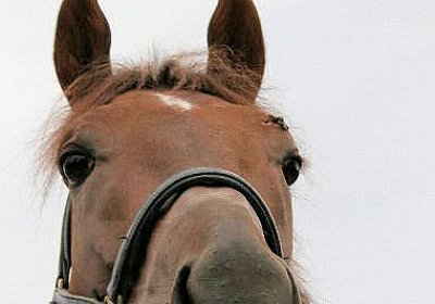 cm aiakos IMG 4537 600x400.jpg