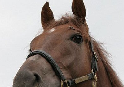 cm aiakos IMG 4539 600x400.jpg