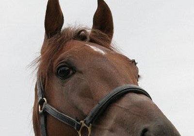 cm aiakos IMG 4542 600x400.jpg