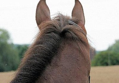 cm aiakos IMG 4554 600x400.jpg