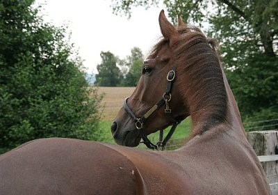 cm aiakos IMG 4560 600x400.jpg